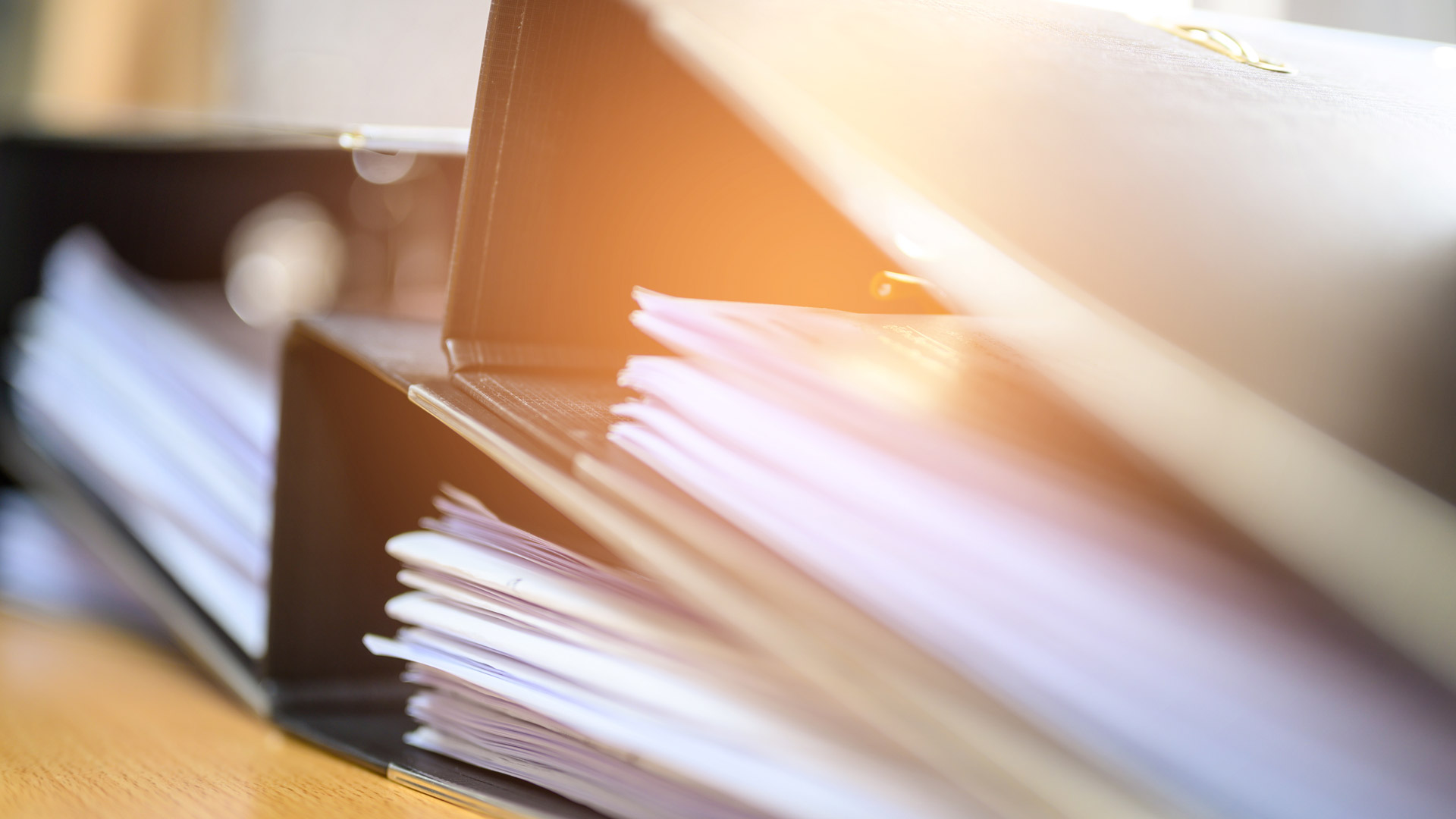 Bestattungshaus Medina Halle (Saale)